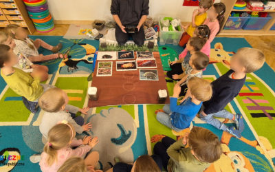 Projekt edukacyjny „Przedszkolaki wchodzą na zielone szlaki”